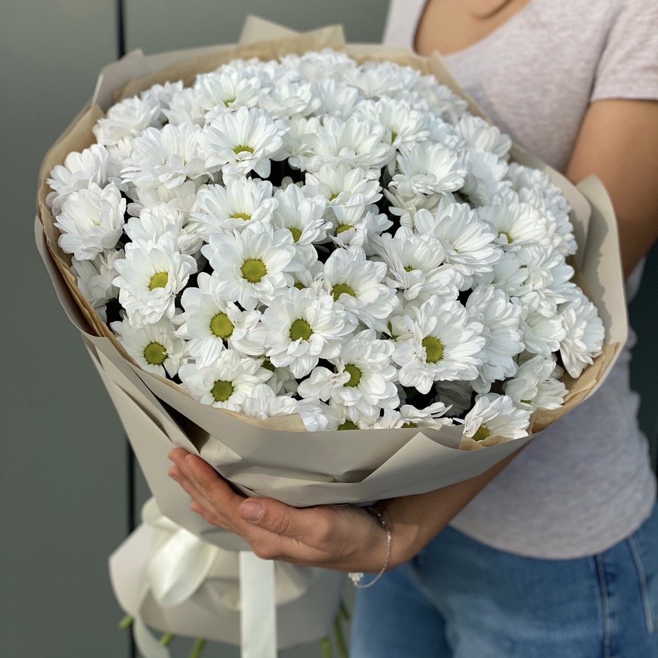 Николь — изображение 2